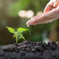 Лидери в екологията на бъдещето се обучават в инициатива „Зелено дете“