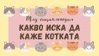 Мяу-енциклопедия: какво иска да каже котката Мяу-енциклопедия: какво иска да каже котката